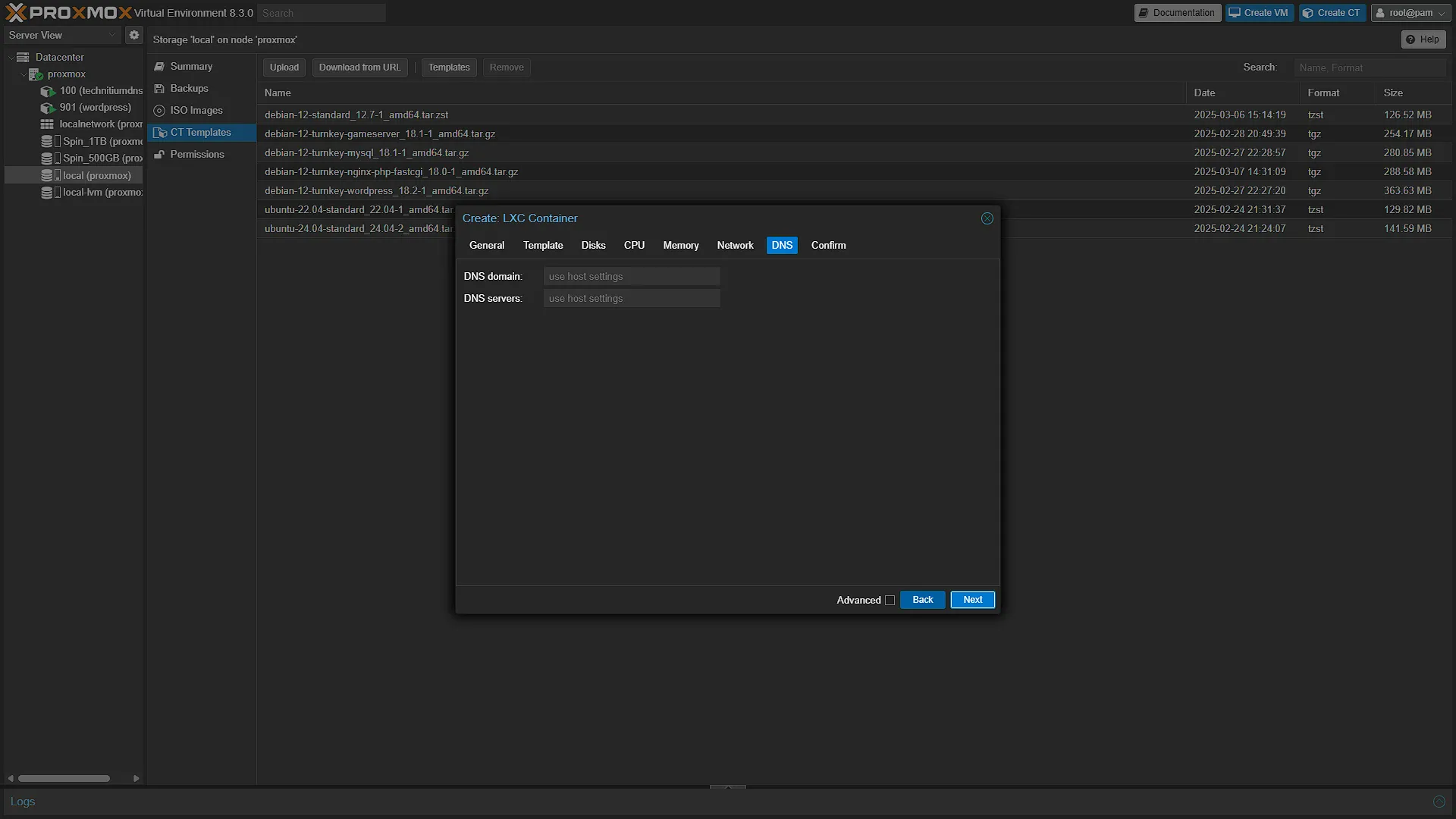 Install NGINX - 7 - DNS
