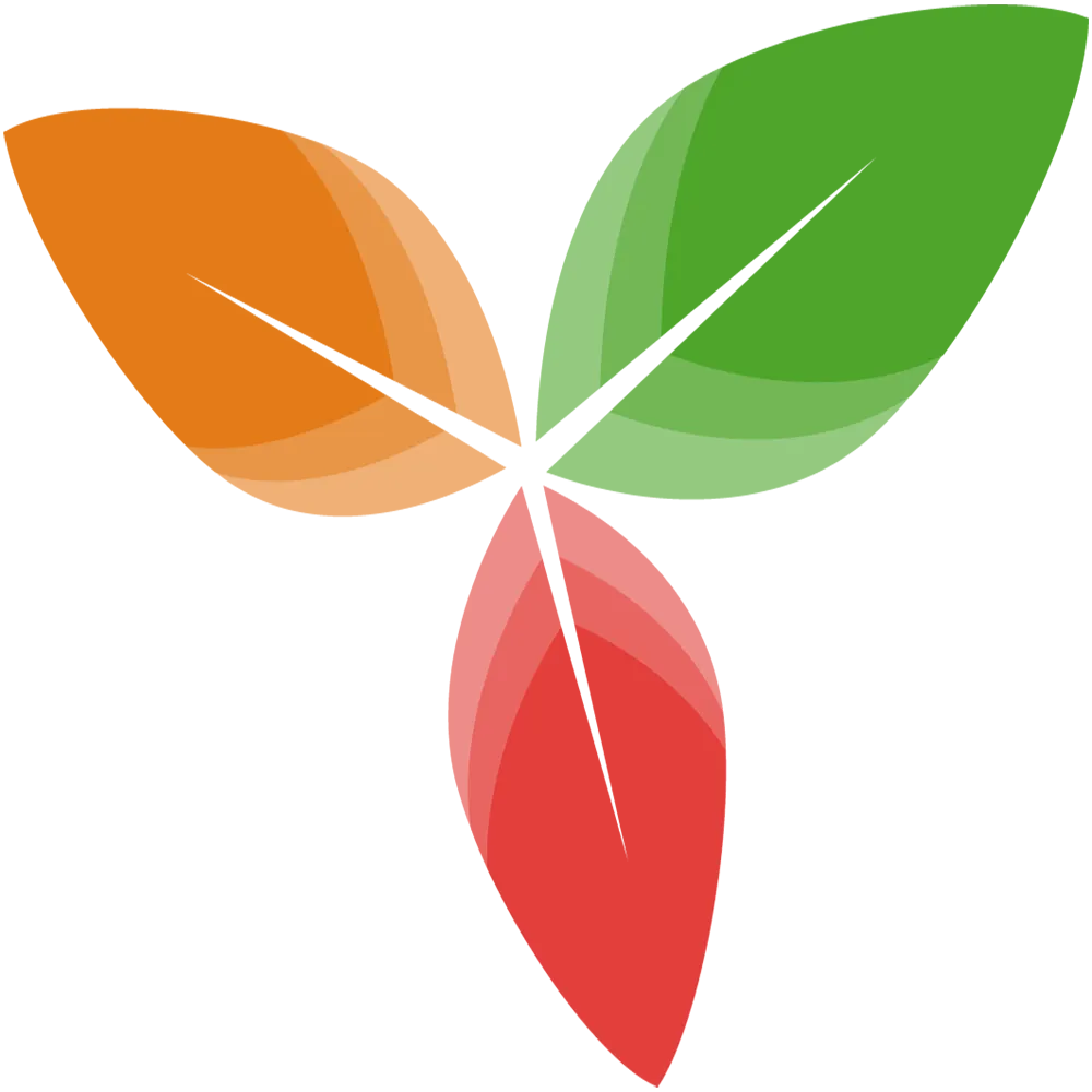 Trilium Notes and TriliumNext: Organization, Sync and Self-Hosting