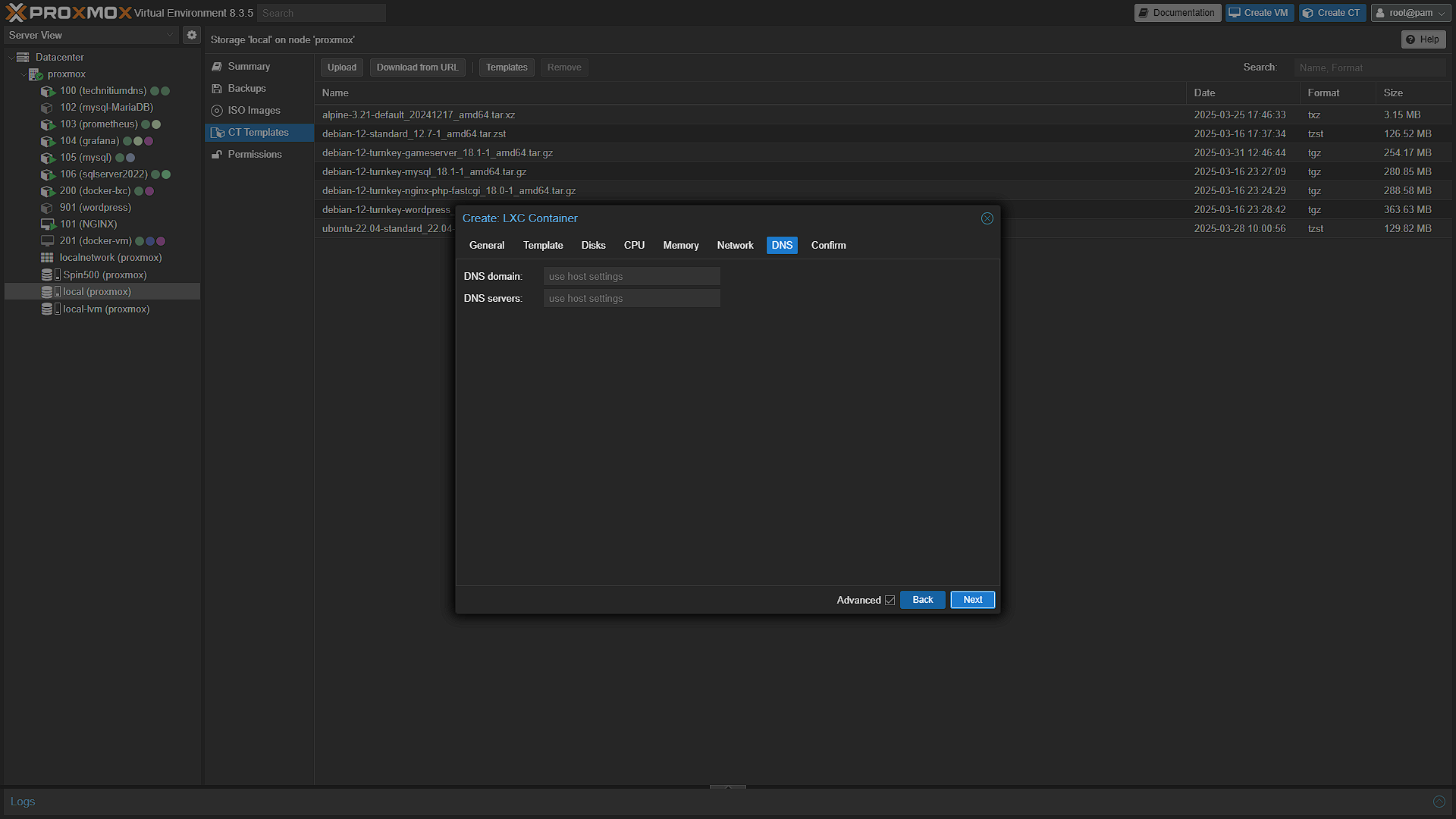 Create Gameserver Container - 7 -DNS